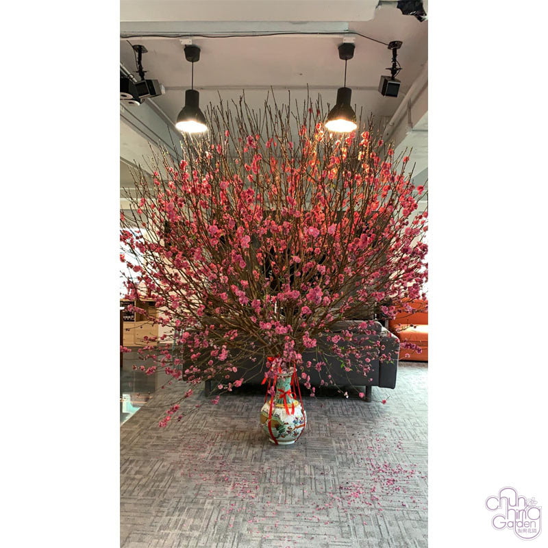 桃花 (1) Peach Blossom - Image 2