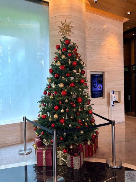 CROWNE PLAZA -10N